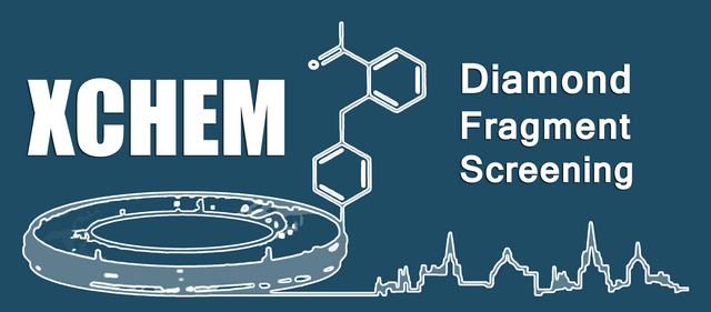 X-Chem Dimond Fragment Screening